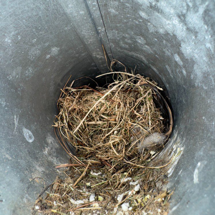 Vent Cleaning in Grand Rapids MI Vent Cleaning in Grand Rapids MI